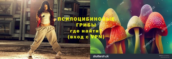 соль ск Белокуриха