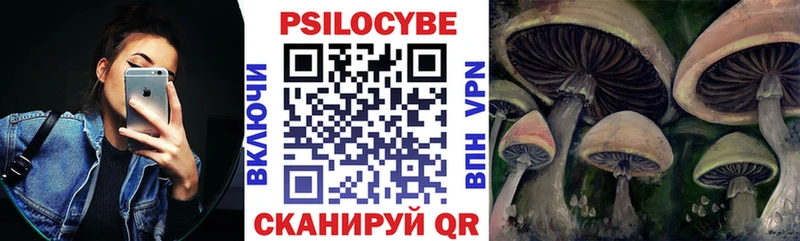 Галлюциногенные грибы Psilocybine cubensis Дальнегорск