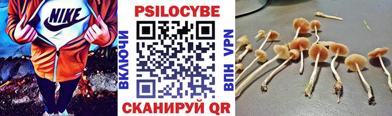 Галлюциногенные грибы Cubensis  цена   Дальнегорск 