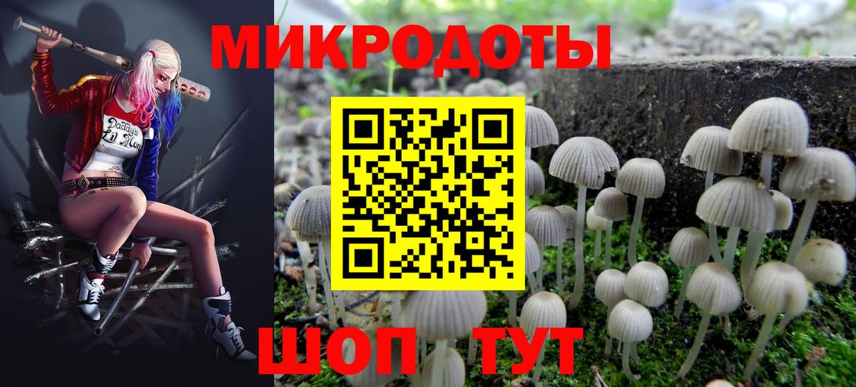Дальнегорск  Галлюциногенные грибы GOLDEN TEACHER  Галлюциногенные грибы прущие грибы  Вход с VPN 