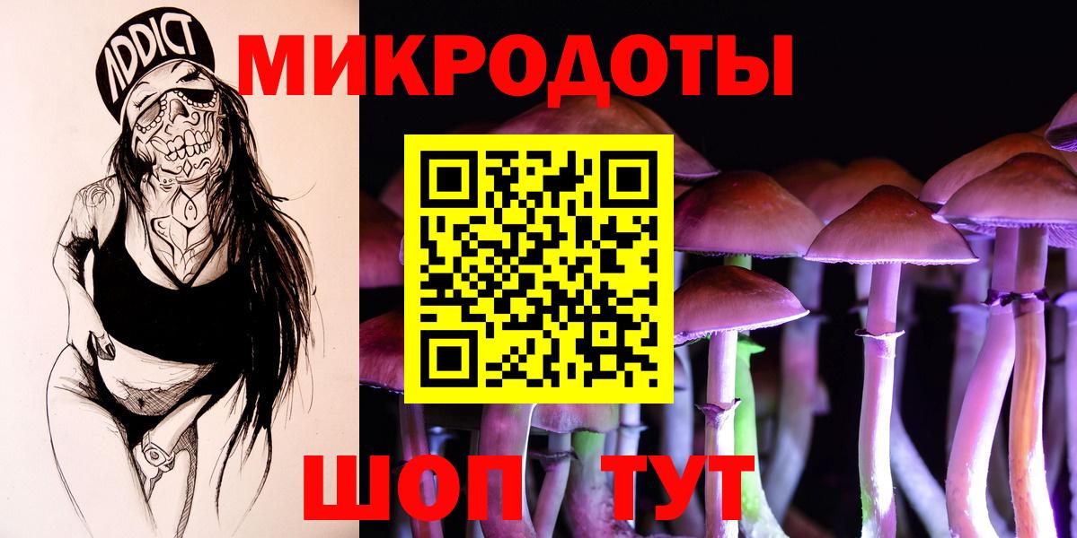 Галлюциногенные грибы прущие грибы Дальнегорск