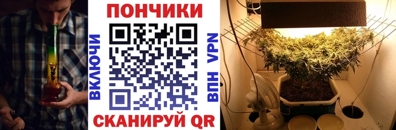 МАРИХУАНА ГИДРОПОН OMG ссылка Дальнегорск купить